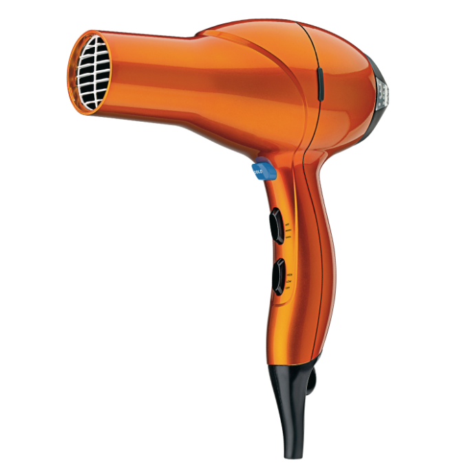 Quick Styling Salon Hair Dryer